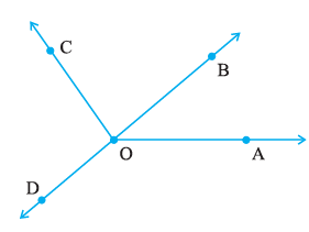 Page 99 Chapter 5 Class 6th Non-Rationalised NCERT 2019-20